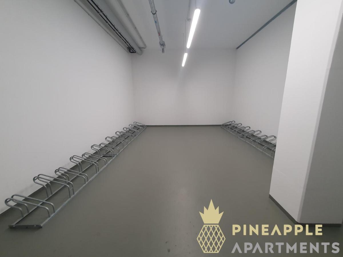 Pineapple Apartments Dresden Altstadt I - 117 Qm - 1X Free Parking Luaran gambar